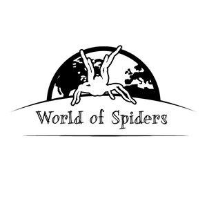 World of Spiders
