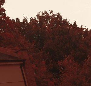 autumn west