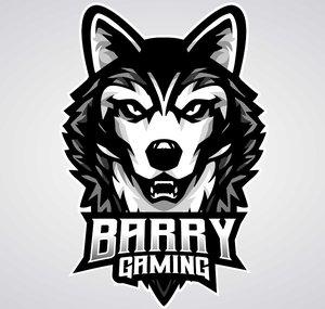 Barry Gaming
