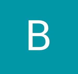 BulletVive