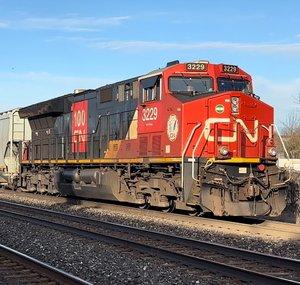 Canuck Train Spotter