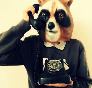 Controversial Racoon
