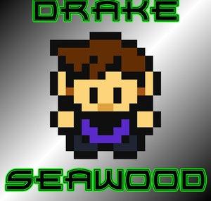 Drake Seawood's Channel