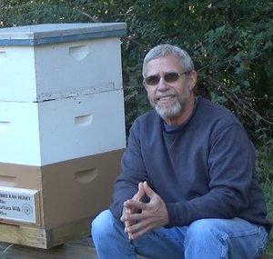 Jeff Horchoff Bees