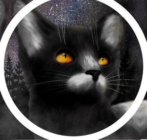 La Nuit des Clans