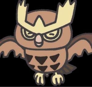 RJRacoon