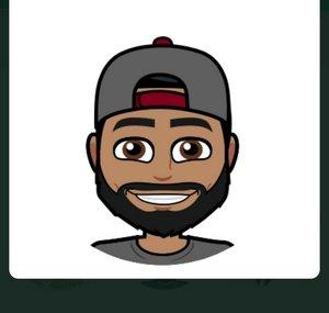 Thebeardednerd