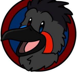 Channel Asa
