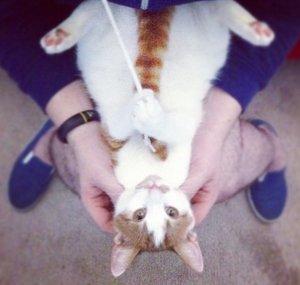 FLUFFY BY NATURE
