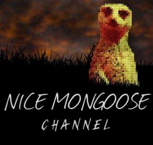 Nice Mongoose Channel