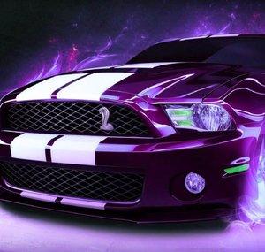 Northern Mustangs