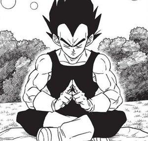 Professor Of All Saiyans