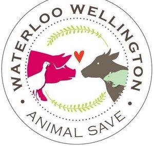 Waterloo Wellington Animal Save