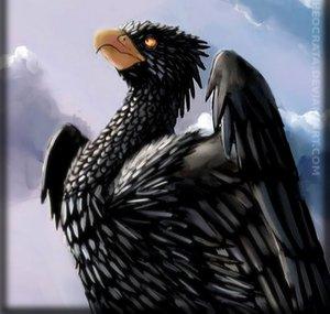 Black Falcon