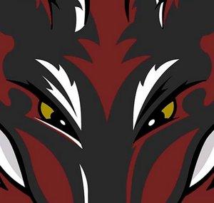Darkfox127
