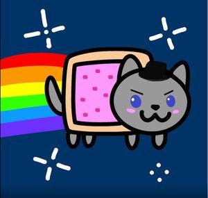 ★Mad Kitty Face★ :3