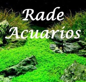 Rade Acuarios