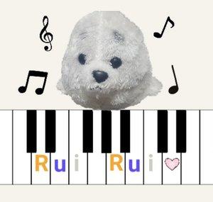 Rui Ruii the Seal Pianist