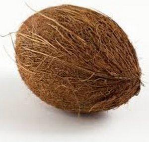Typical Coconut