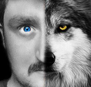 Týrwolf