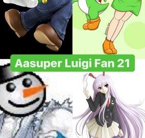 Aasuper Luigi Fan 23