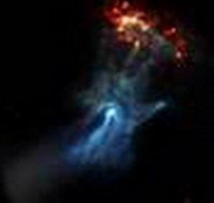 cosmossafari