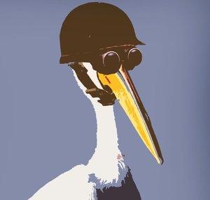 Modest Pelican