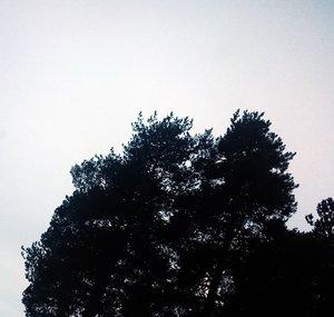 navewindre