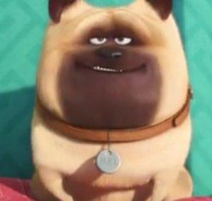 Ryze