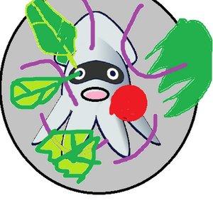 TheSquidSalad