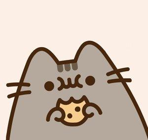 CookieSheen