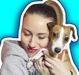 Elli Di Pets