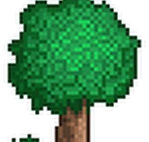 GrayGeo1
