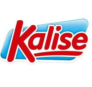 Grupo Kalise S.A.