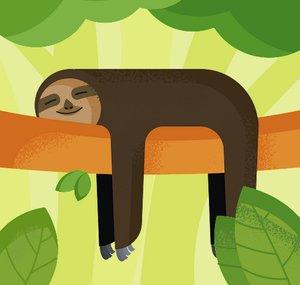 ManyShorts