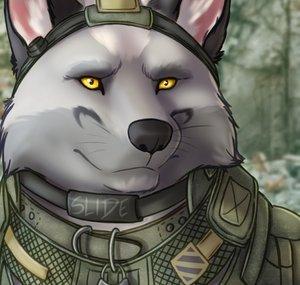 SlideWolf Gaming