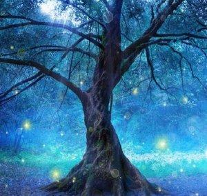 Fantasy & World Music by the Fiechters