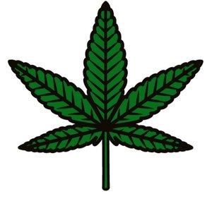 Ganja Editors
