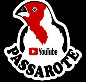 Passarote