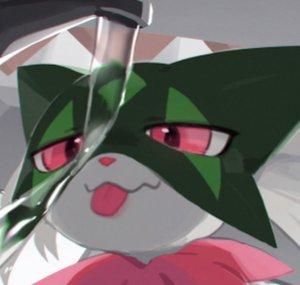 Pokeddica