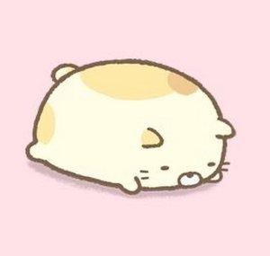 puppy parfait