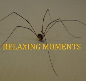 RELAXING MOMENTS
