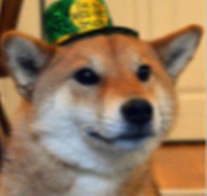 tendog