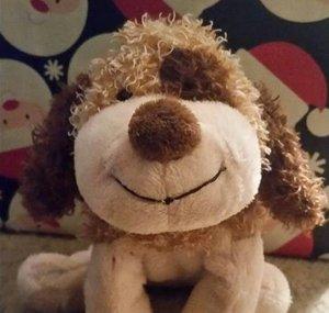 Andrew Webkinz