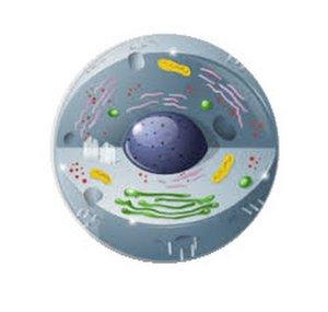 Biología