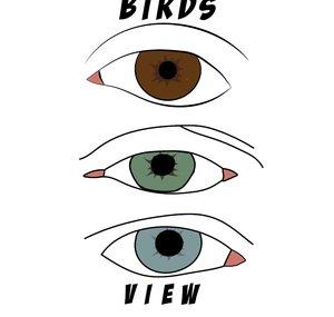 Birds Eye View Podcast
