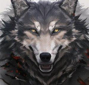 BlackWolf Studio