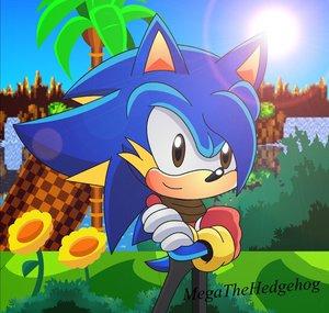 Mega T. Hedgehog (canal antigo)