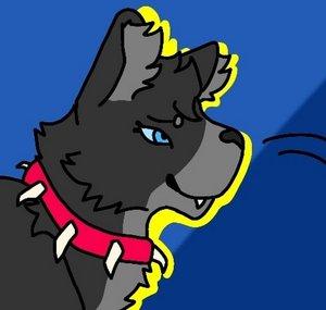Nightfur WC