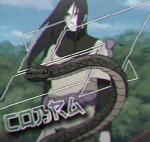 爱SENSEÏCOBRA造